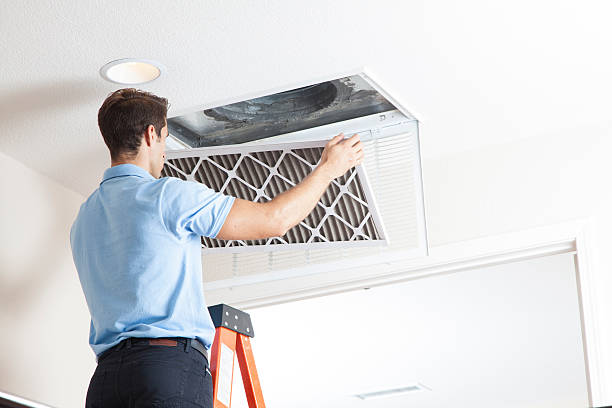 Best HVAC Tune-Up Services  in Lmar, DE